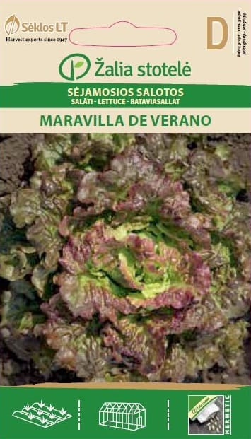 SALOTOS SĖJAMOSIOS MARAVILLA DE VERANO