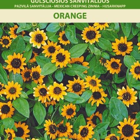 SANVITALIJOS GULSČIOSIOS ORANGE