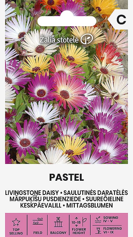 SAULUTINĖS DARATĖLĖS PASTEL