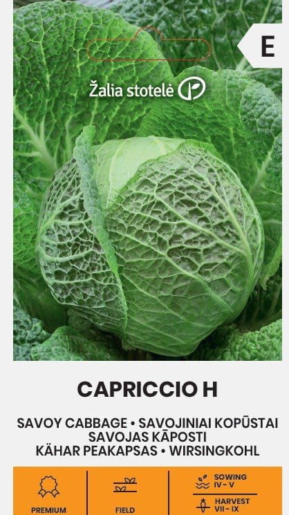 SAVOJINIAI KOPŪSTAI CAPRICCIO H - Image 2