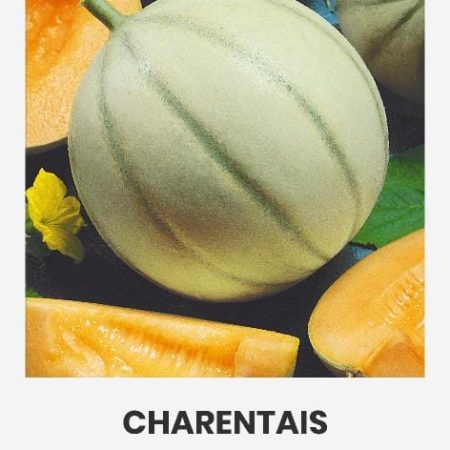 SĖJAMIEJI MELIONAI CHARENTAIS
