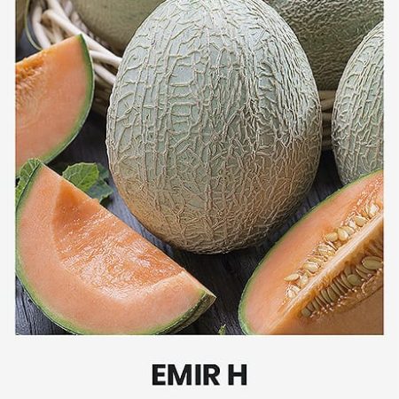 SĖJAMIEJI MELIONAI EMIR H