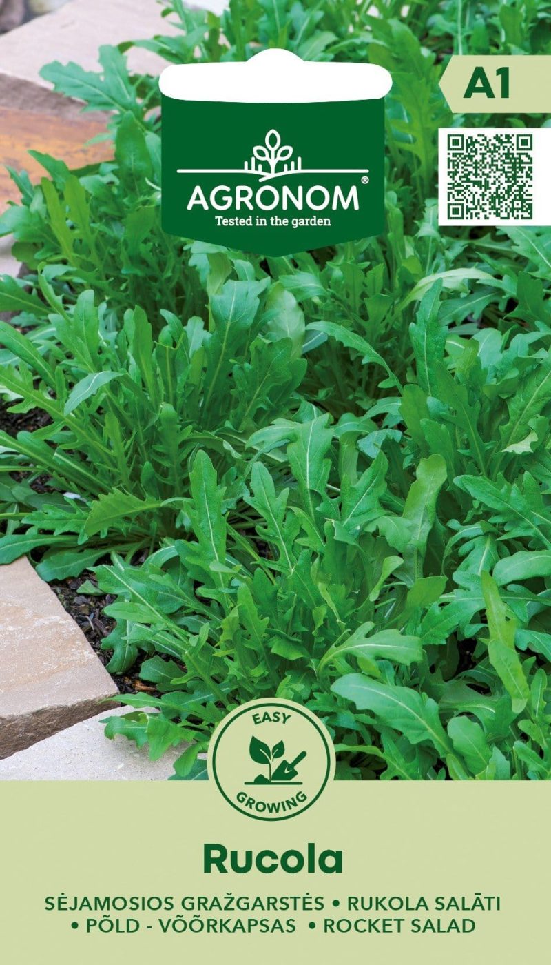 SĖJAMOSIOS GRAŽGARSTĖS RUCOLA - Image 2