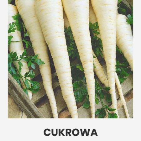 SĖJAMOSIOS PETRAŽOLĖS CUKROWA