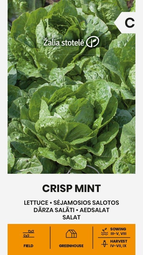 SĖJAMOSIOS SALOTOS CRISP MINT