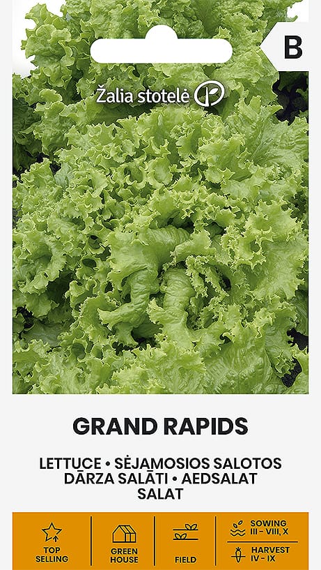 SĖJAMOSIOS SALOTOS GRAND RAPIDS