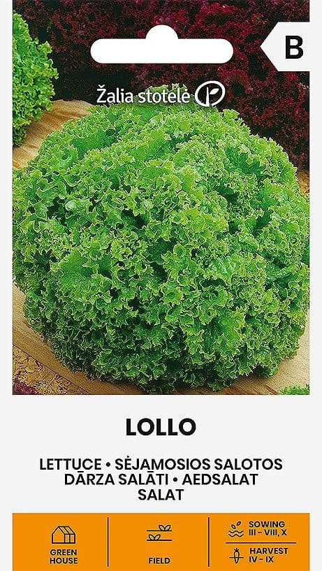 SĖJAMOSIOS SALOTOS LOLLO (BIONDA)