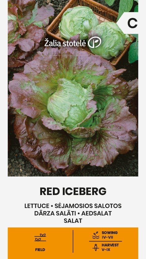 SĖJAMOSIOS SALOTOS RED ICEBERG