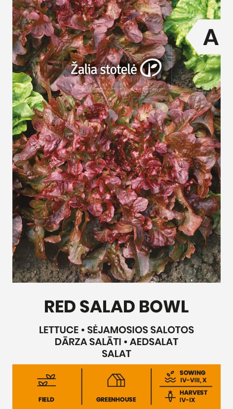 SĖJAMOSIOS SALOTOS RED SALAD BOWL