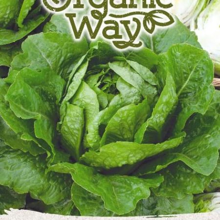 SĖJAMOSIOS SALOTOS VERDE DEGLI ORTOLANI