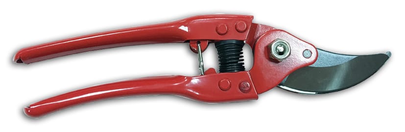 SEKATORIUS C3238