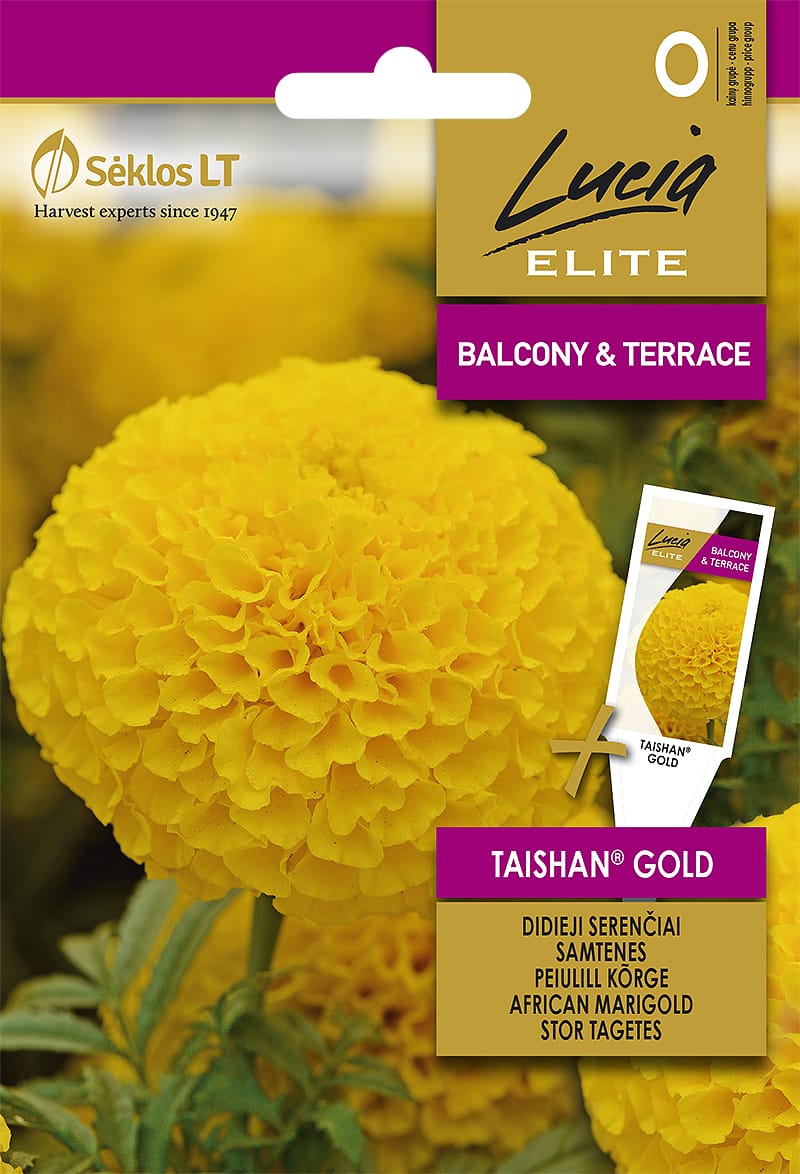 SERENČIAI DIDIEJI TAISHAN® GOLD