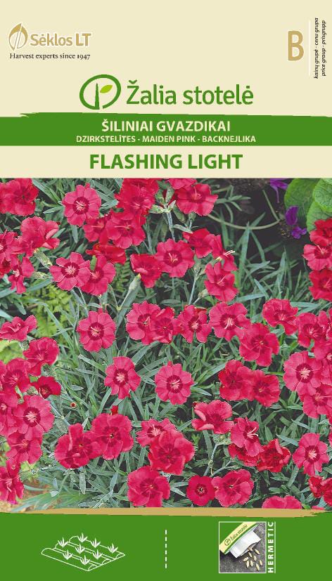 ŠILINIAI GVAZDIKAI FLASHING LIGHT