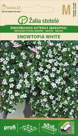 ŠIRDIŠKOSIOS SUTEROS BAKOPOS SNOWTOPIA WHITE