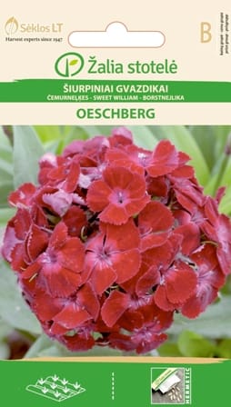 ŠIURPINIAI GVAZDIKAI OESCHBERG