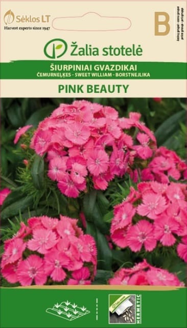 ŠIURPINIAI GVAZDIKAI PINK BEAUTY