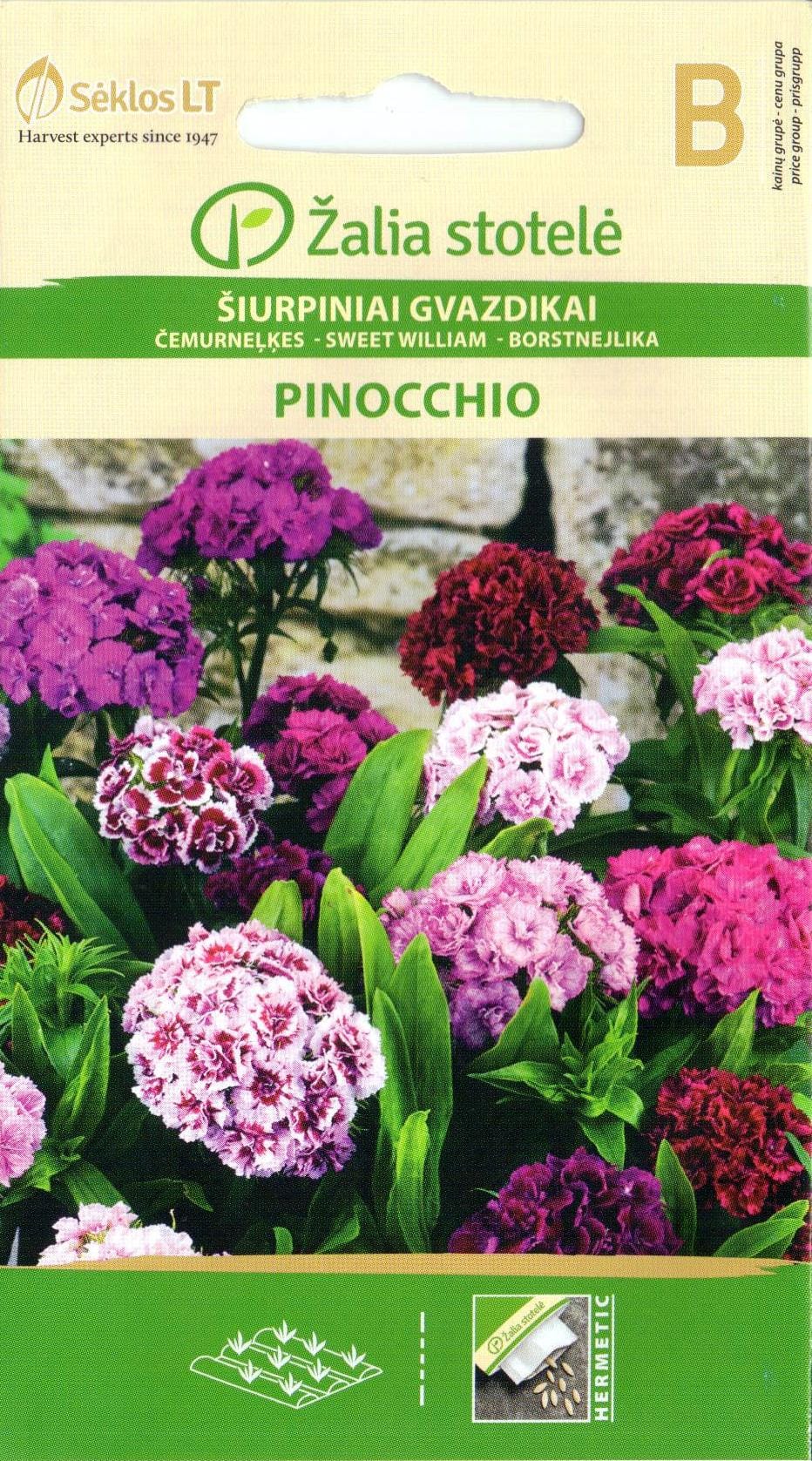 ŠIURPINIAI GVAZDIKAI PINOCCHIO