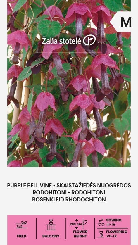 SKAISTAŽIEDĖS NUOGRĖDOS (RHODOCHITONAI PURPURINIAI)