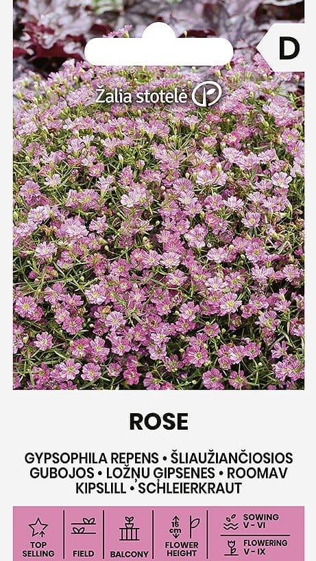 ŠLIAUŽIANČIOSIOS GUBOJOS ROSE