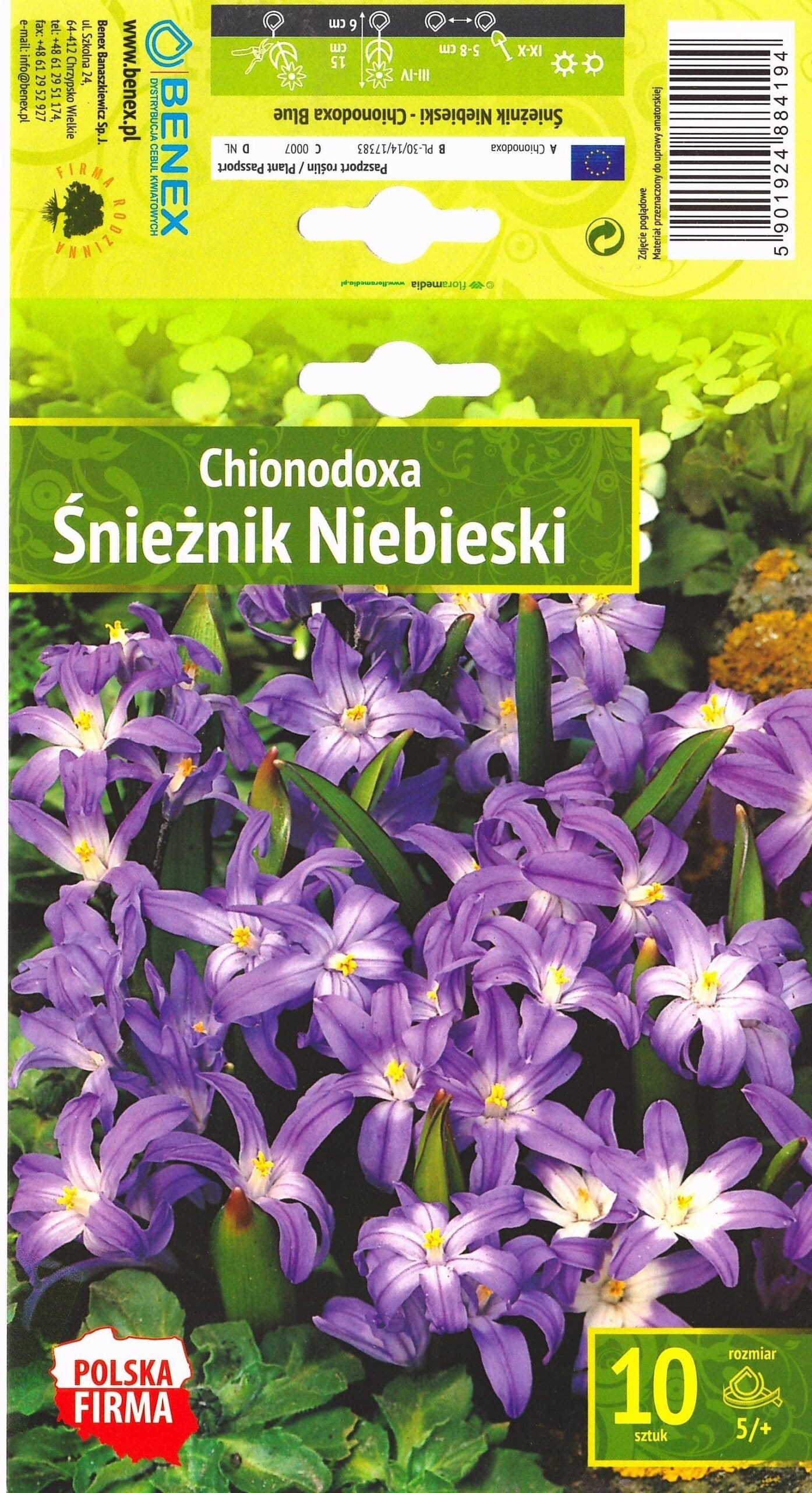 SNIEGŽYDRĖS FORBESII