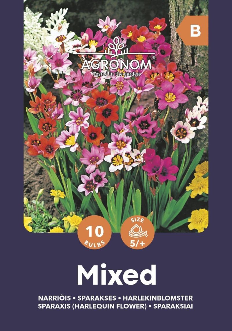 SPARAKSIAI MIX
