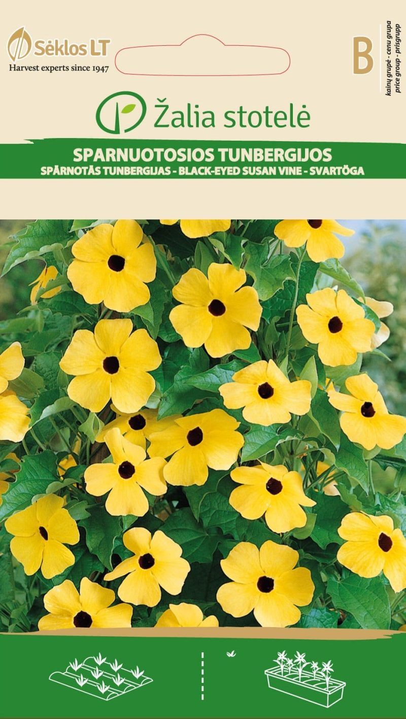 SPARNUOTOSIOS TUNBERGIJOS