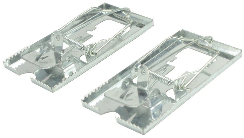 SPĄSTAI PELĖMS METALINIAI, 2VNT, 10X5CM - Image 2