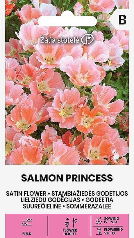 STAMBIAŽIEDĖS GODETIJOS SALMON PRINCESS
