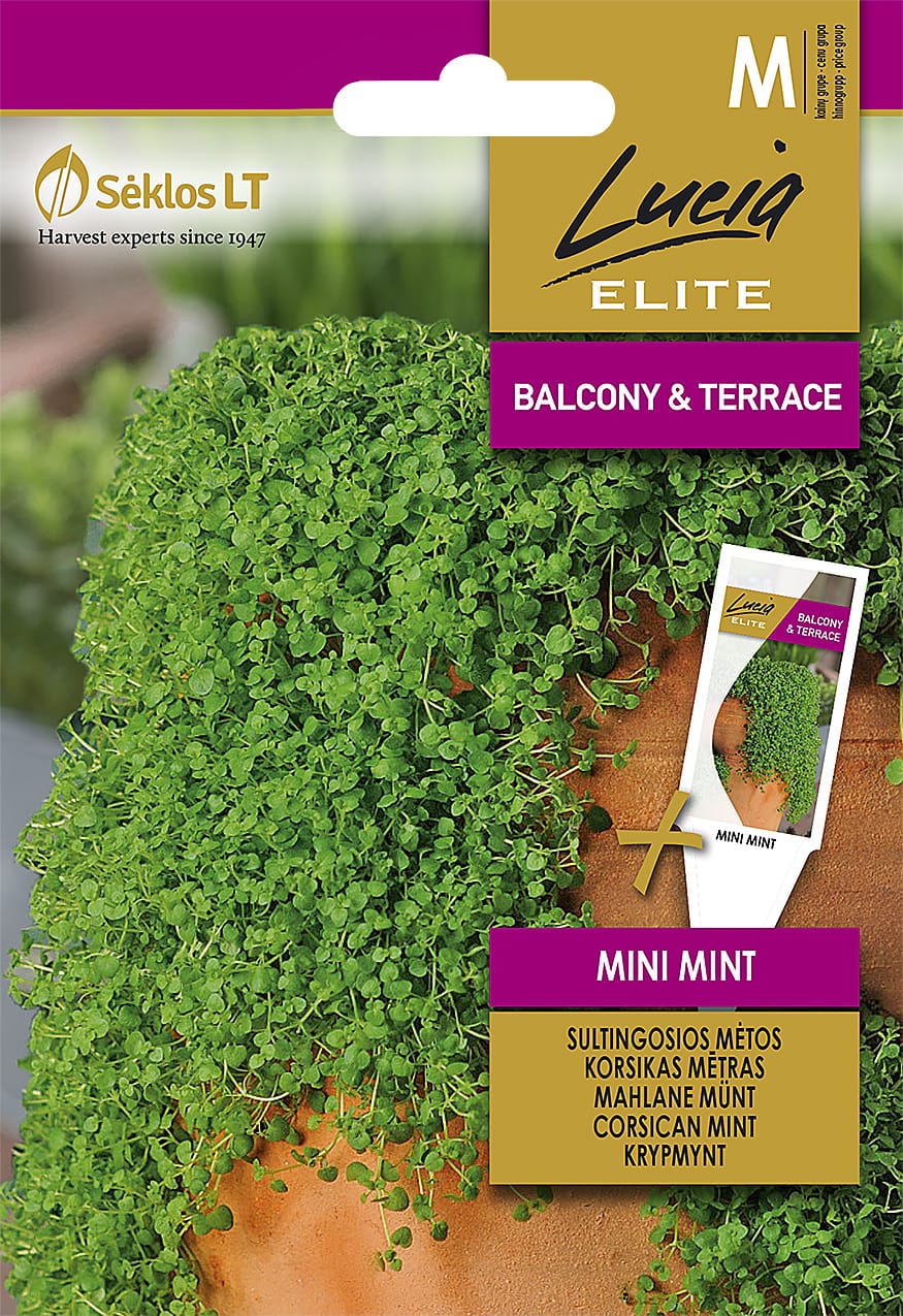 SULTINGOSIOS MĖTOS MINI MINT