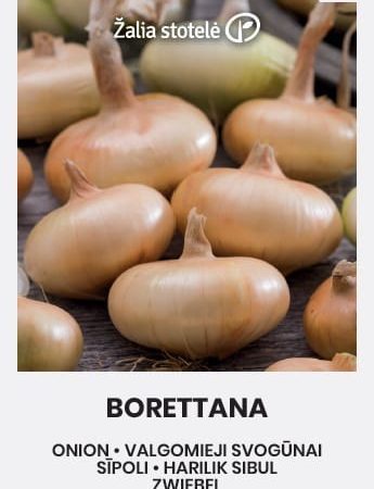 SVOGŪNAI VALGOMIEJI BORETTANA