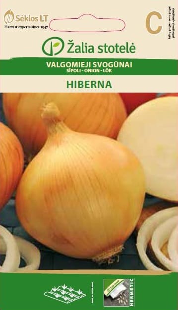 SVOGŪNAI VALGOMIEJI HIBERNA