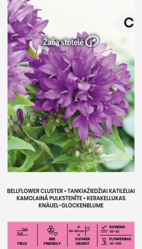 TANKIAŽIEDŽIAI KATILĖLIAI