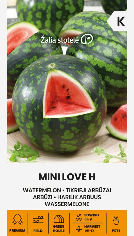 TIKRIEJI ARBŪZAI MINI LOVE H