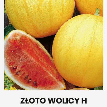 TIKRIEJI ARBŪZAI ZLOTO WOLICY H