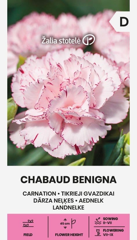 TIKRIEJI GVAZDIKAI CHABAUD BENIGNA
