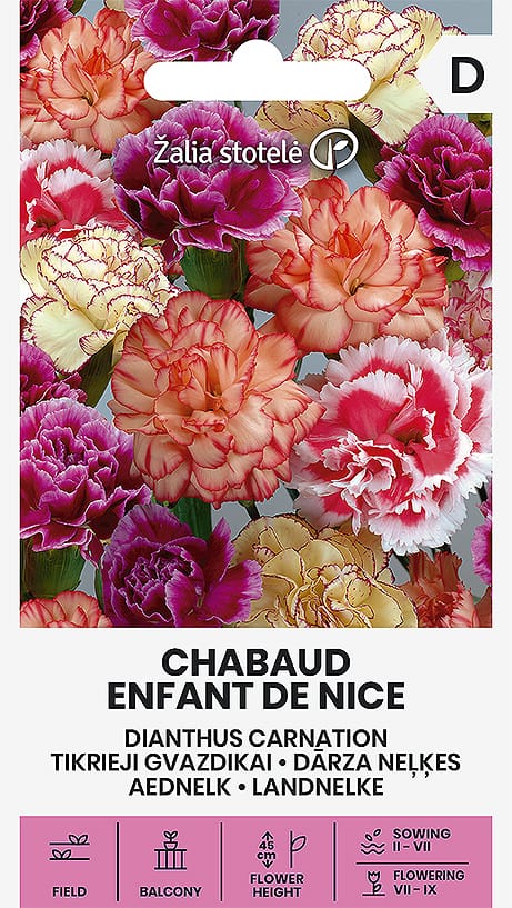 TIKRIEJI GVAZDIKAI CHABAUD ENFANT DE NICE