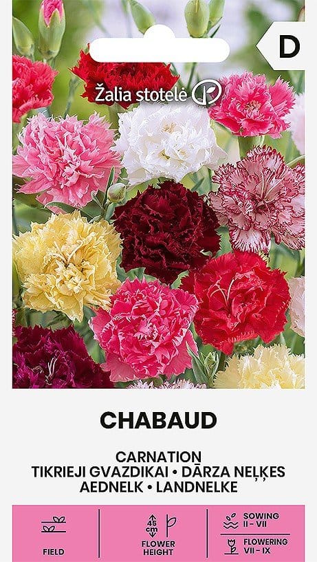 TIKRIEJI GVAZDIKAI CHABAUD