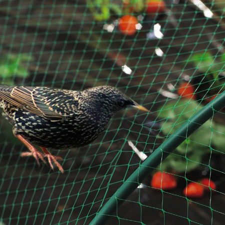 TINKLAS NUO PAUKŠČIŲ 2X10M