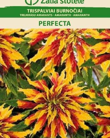TRISPALVIAI BURNOČIAI PERFECTA