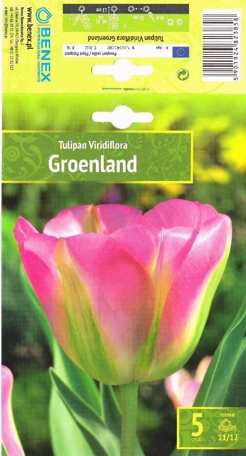 TULPĖS GROENLAND