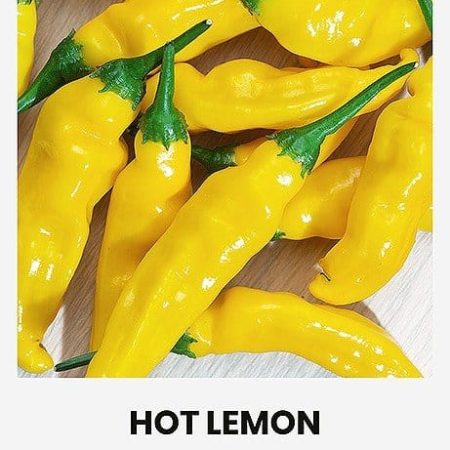UOGINĖS PAPRIKOS HOT LEMON