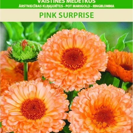 VAISTINĖS MEDETKOS PINK SURPRISE