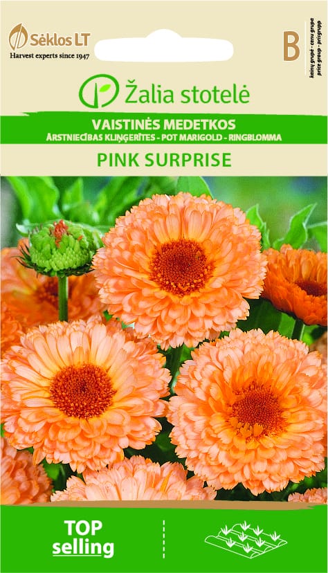 VAISTINĖS MEDETKOS PINK SURPRISE