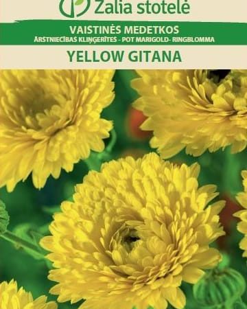 VAISTINĖS MEDETKOS YELLOW GITANA