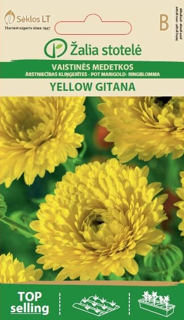 VAISTINĖS MEDETKOS YELLOW GITANA