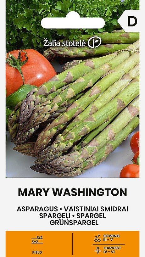 VAISTINIAI SMIDRAI MARY WASHINGTON