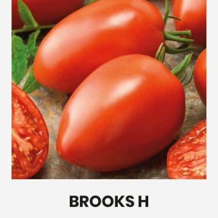 VALGOMIEJI POMIDORAI BROOKS H
