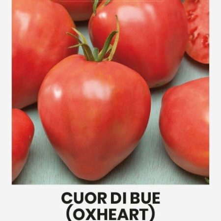 VALGOMIEJI POMIDORAI COUR DI BUE - JAUČIO ŠIRDIS