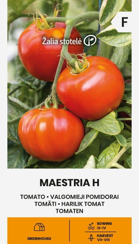 VALGOMIEJI POMIDORAI MAESTRIA H