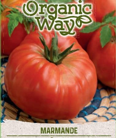 VALGOMIEJI POMIDORAI MARMANDE